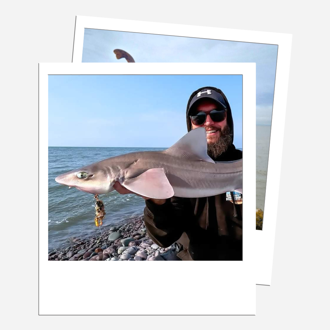 Braid Dongle Pulley Rig - 5 Pack