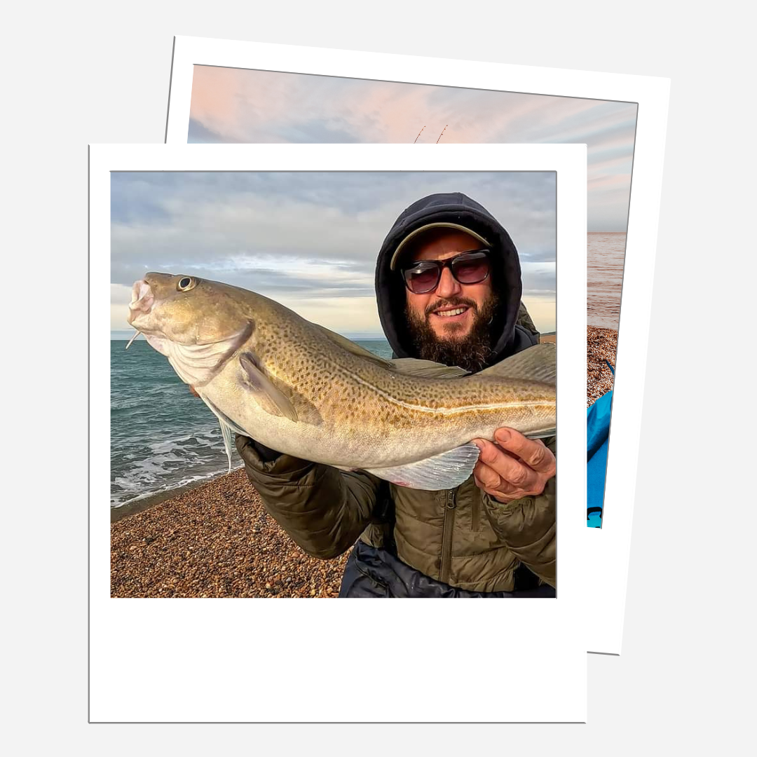 Distance Cod Loop / Long Distance Rig - 5 pack