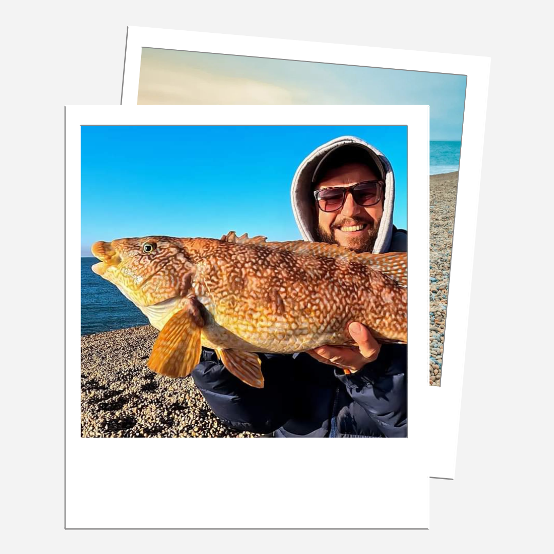 Chesil Beach Pulley Rig (Gemini Splashdown) - 5 pack – The Shore Hunter