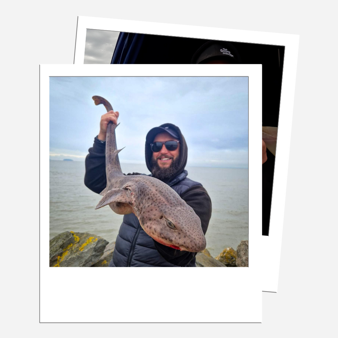 Bristol Channel Pulley Rig (Gemini Splashdown) - 5 pack – The Shore Hunter