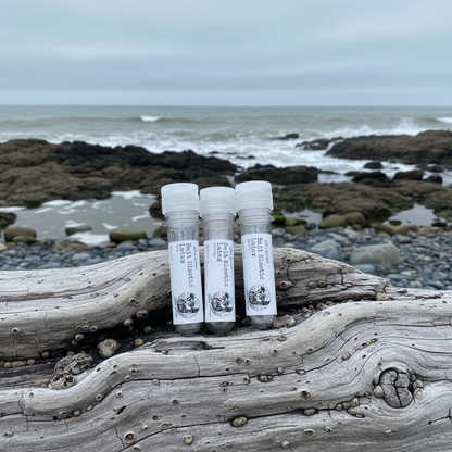 Bait Elastic Latex & Dispenser by The Shore Hunter