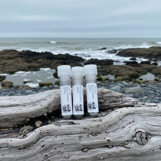 Bait Elastic Latex & Dispenser by The Shore Hunter