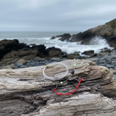Rigs – The Shore Hunter